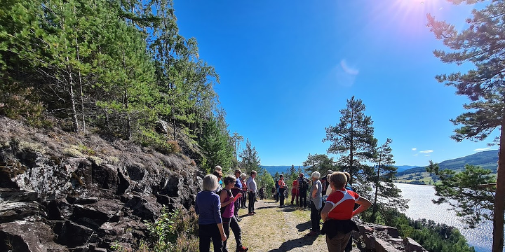 Historien om bruk av skog og tre blant annet i naturmedisin v/Torstein Dahl