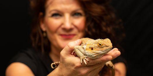 Bilde/illustrasjon for Besøk fra Oslo Reptilpark