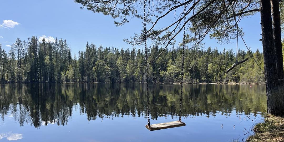 Bilde/illustrasjon for Turgruppe onsdagsdamene: Nittedal - Ørfiske