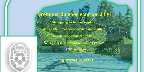 Bilde/illustrasjon for Drømmer du om å fly Drømmer du om å fly